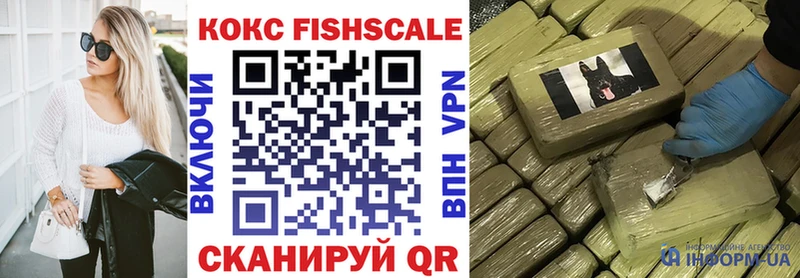 Cocaine Fish Scale  купить наркоту  Кировск 