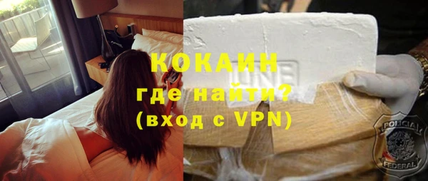 индика Верхний Тагил