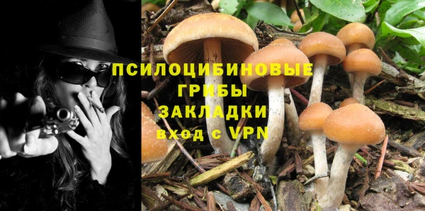 индика Верхний Тагил