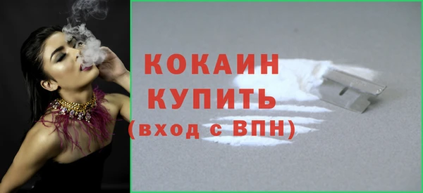индика Верхний Тагил
