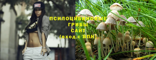 индика Верхний Тагил