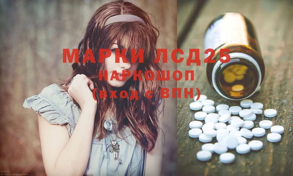 индика Верхний Тагил
