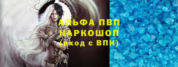 индика Верхний Тагил