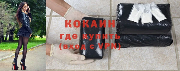 индика Верхний Тагил