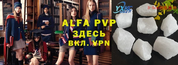 индика Верхний Тагил